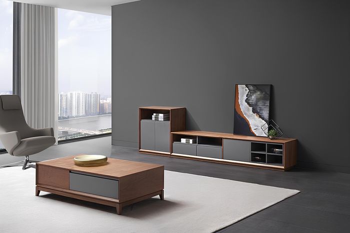 Design Wohnwand RTV Side Low Schrank Board Wohnzimmer Regal Garnitur Tisch Neu
