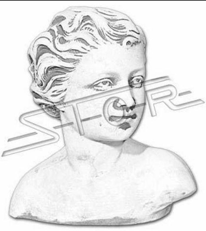 Eva Büste Skulptur Design Figur Statue Garten Figuren Statuen Skulpturen Neu 463