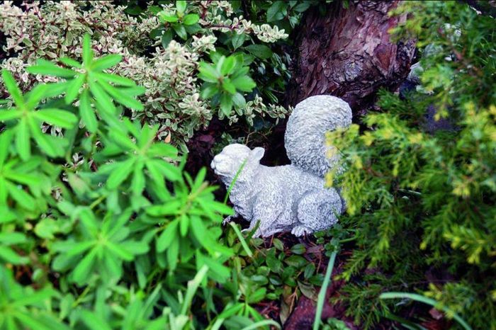 Garten Dekoration Eichhörnchen Terrasse Stein Figuren Figur Statue Skulptur 483