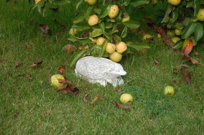 Garten Dekoration Igel Terrasse Stein Figuren Figur Deko Statue Skulptur 524 Neu