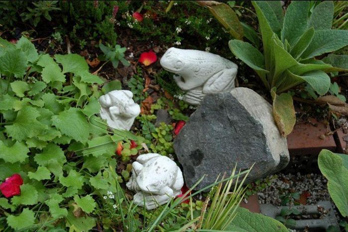 Garten Dekoration Frosch Terrasse Stein Figuren Figur Deko Statue Skulptur 527