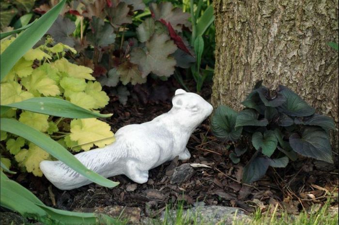 Garten Dekoration Eichhörnchen Terrasse Figuren Figur Statue Skulptur S103049