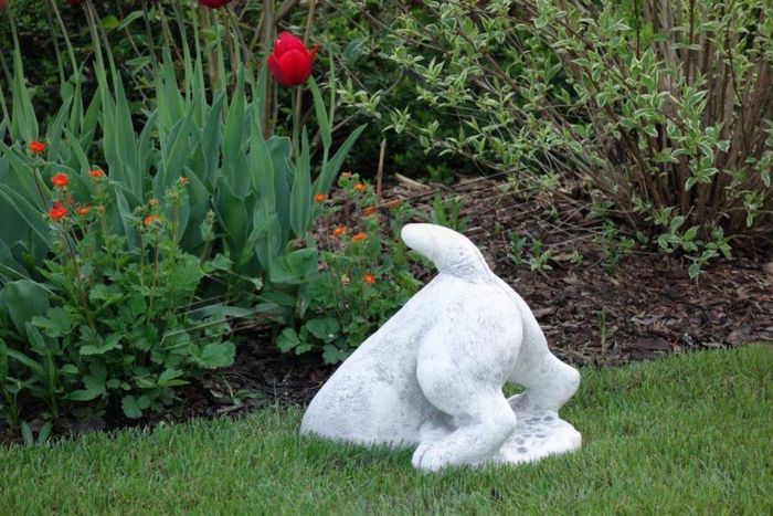Garten Dekoration Hund Terrasse Stein Figuren Figur Deko Statue Skulptur S103051