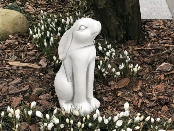 Garten Dekoration Hase Terrasse Stein Figuren Figur Deko Statue Skulptur S103124