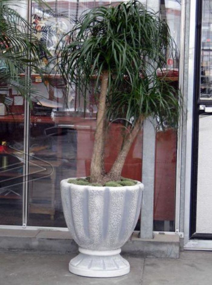 Design Blumentopf Top Planz Kübel Gefäß Töpfe Figur Gesicht Skulptur S104045