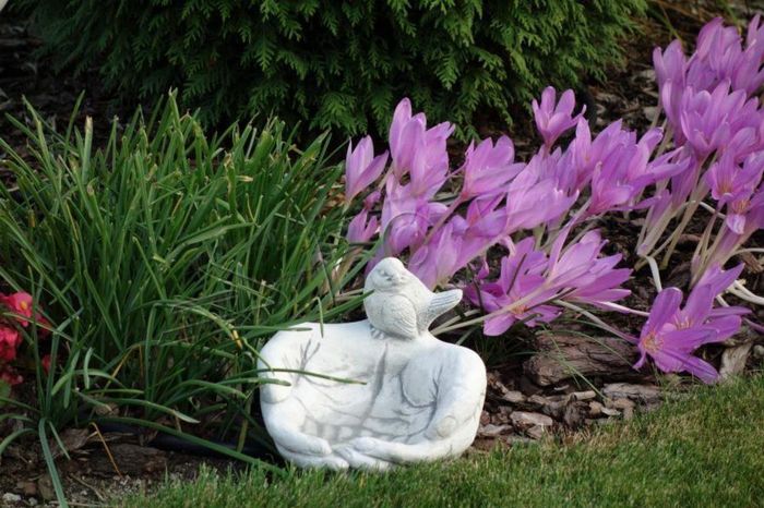 Vogel Tränke Skulptur Design Figur Statue Garten Figuren Statuen Schale S104084
