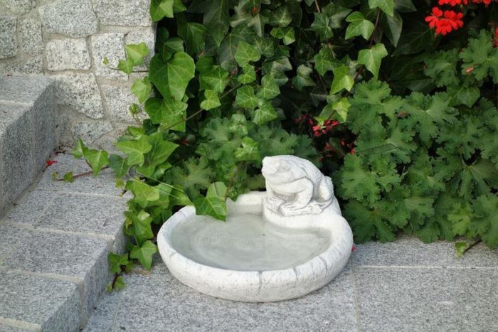 Vogel Tränke Skulptur Design Figur Statue Garten Figuren Statuen Schale S104085