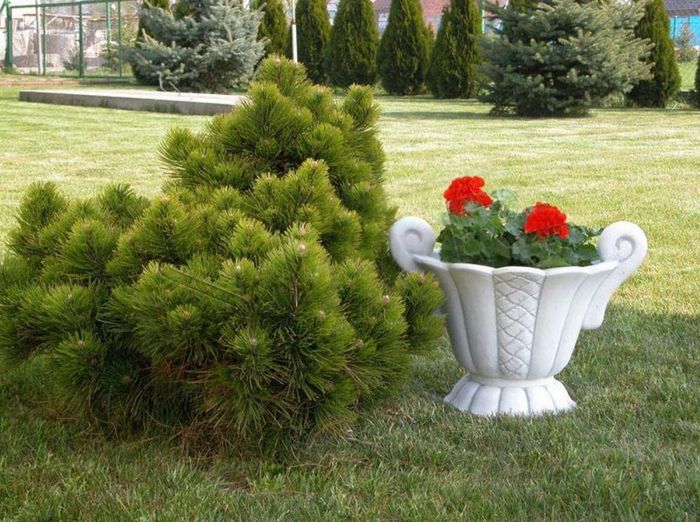 Design Blumentopf Top Planz Kübel Gefäß Töpfe Figur Gesicht Skulptur S204034
