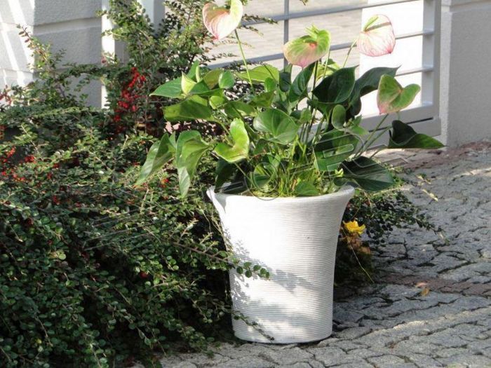 Blumenkorb Blumen Vase Gefäss Garten Terrasse Dekoration Statue Figuren S204055