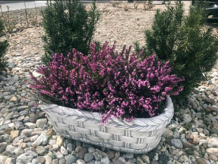 Blumenkübel Pflanz Kübel Dekoration Figur Blumentöpfe Garten Vasen Gefäss 204111