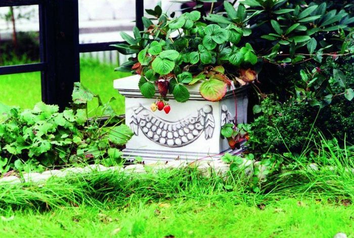 Blumenkübel Pflanz Kübel Dekoration Figur Blumentöpfe Garten Vasen 569
