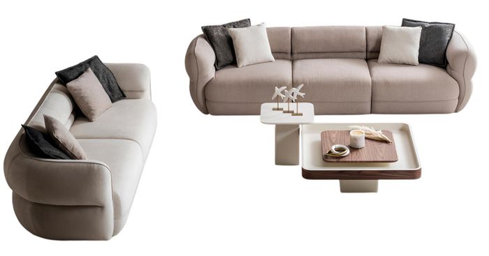 Elegante gemütliche stilvolle Sofas mit Couchtisch in modernem Design