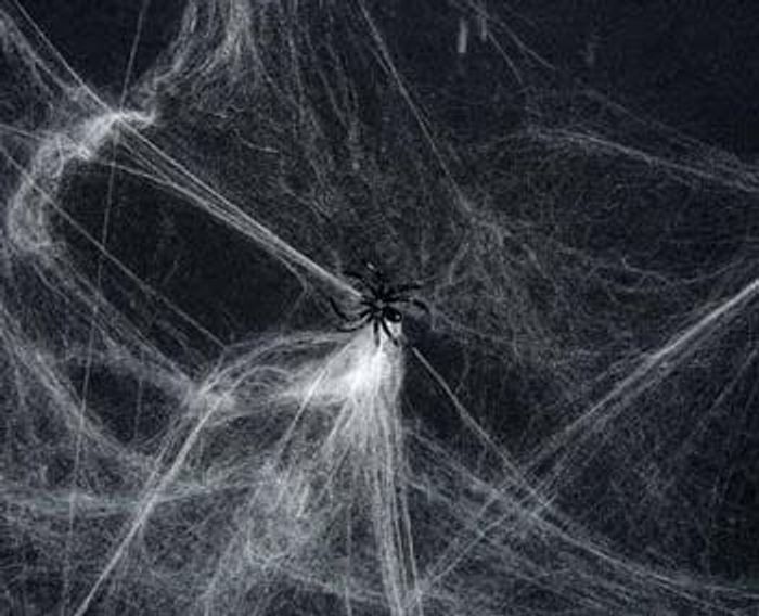 Deko Spinne Spinnennetzdeko Spinnedeko Spinnennetz mit Spinnen Netze Spinnen Netz Spinnengewebe