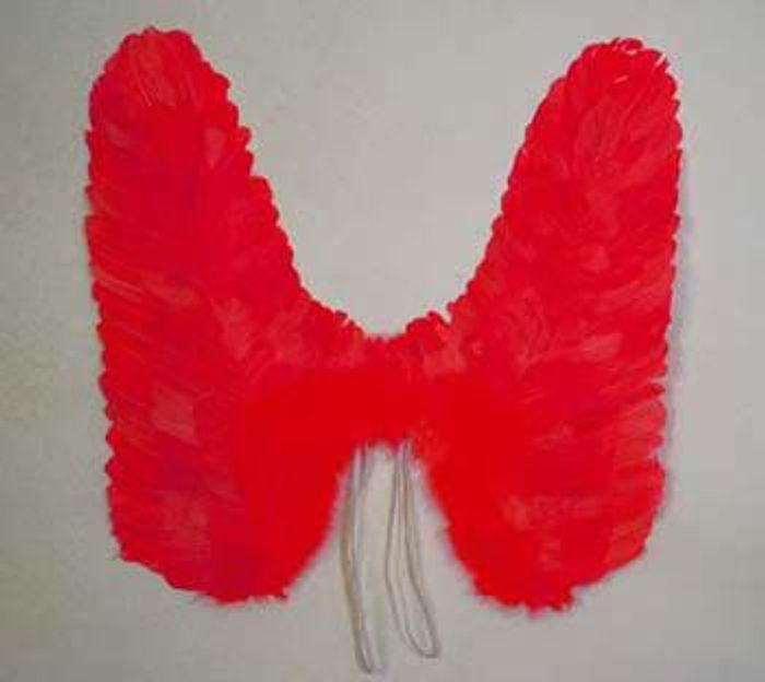 Engelsflügel rot Engelflügel Flügel Engel