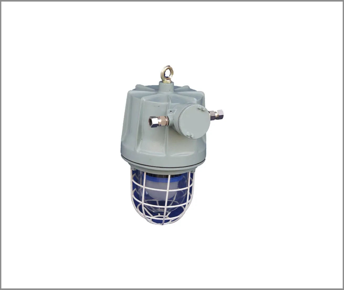 Well Glass LED Flame Proof Fitting