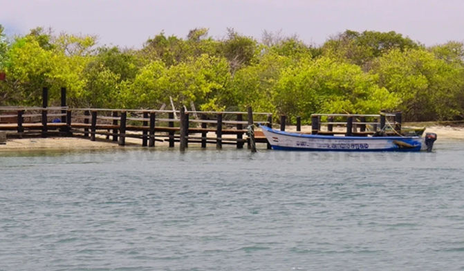 Krusadai Island