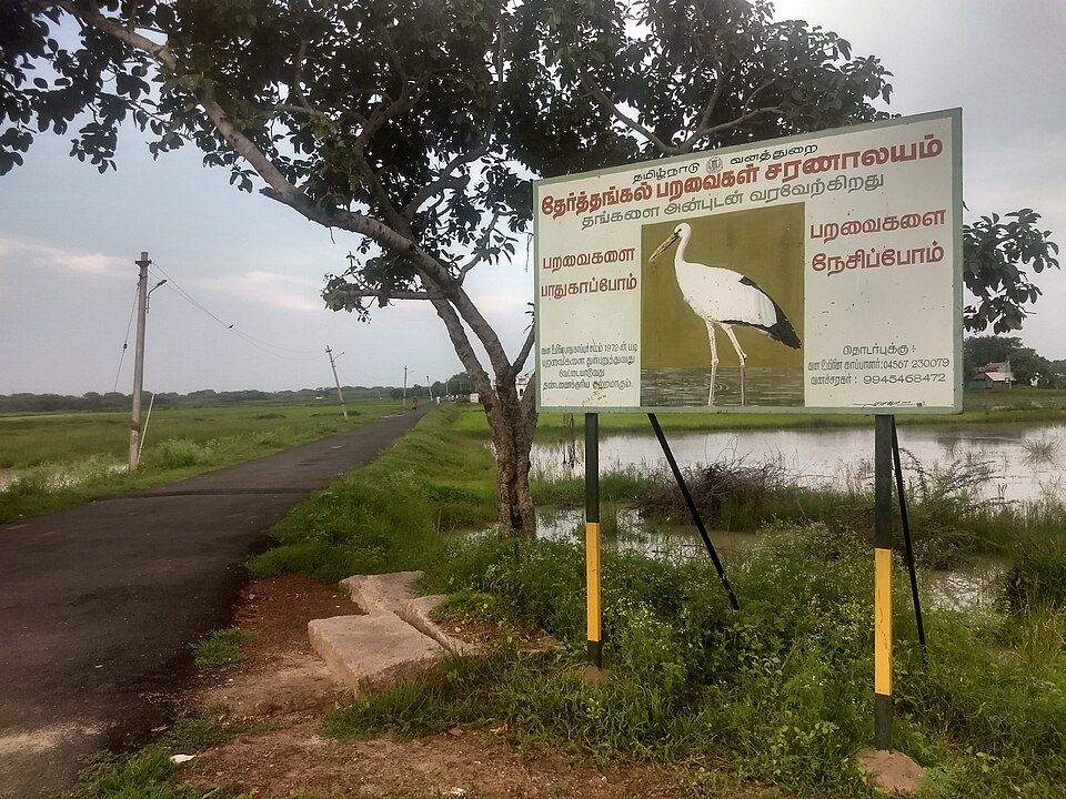 Sakkarakottai Bird Sanctuary