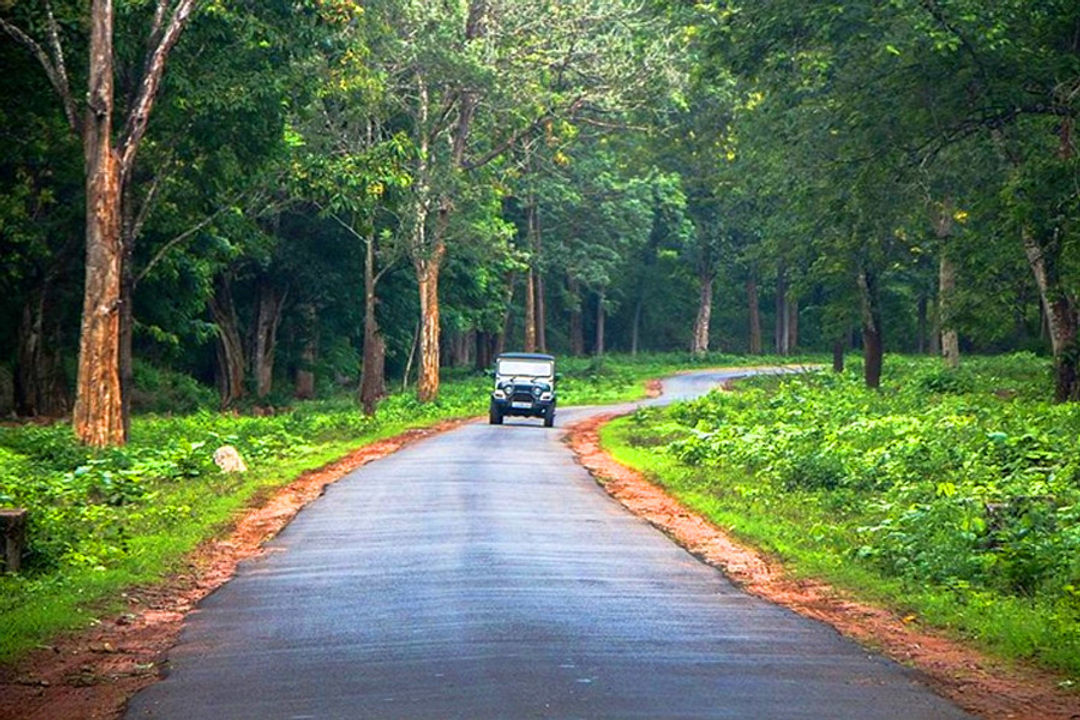 Nagarhole National Park