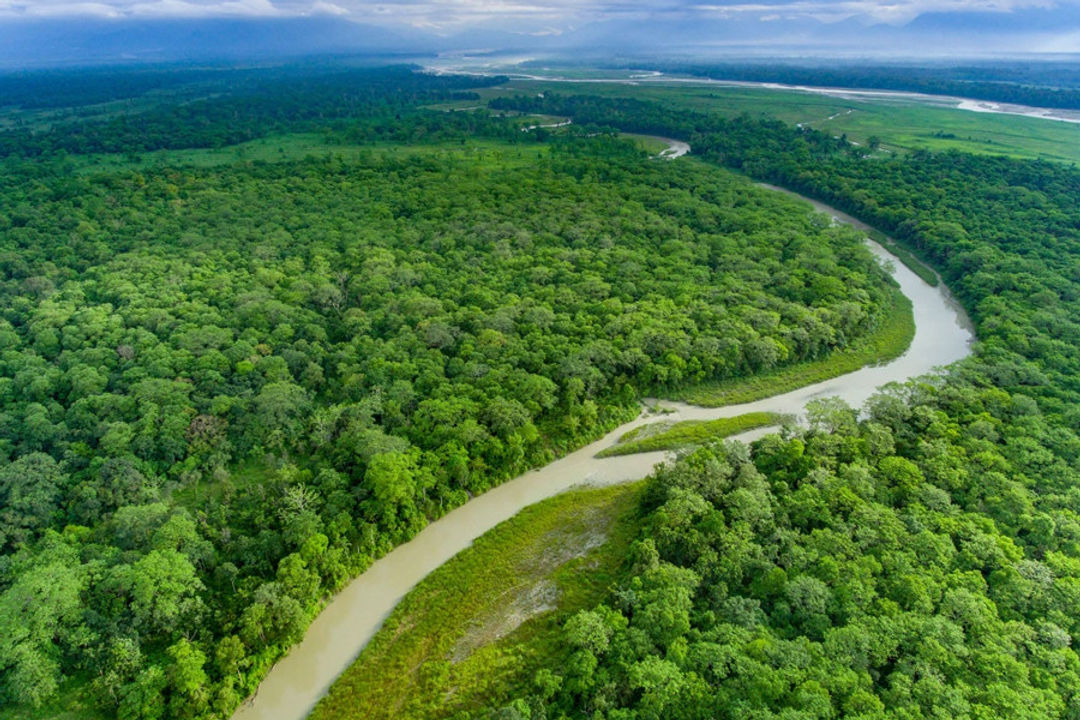 Jaldapara National Park