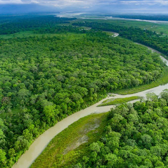 Jaldapara National Park