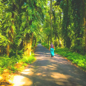 kumarakom bird sanctuary