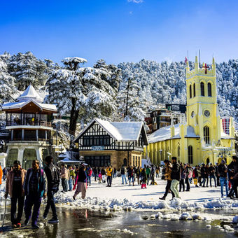 Shimla