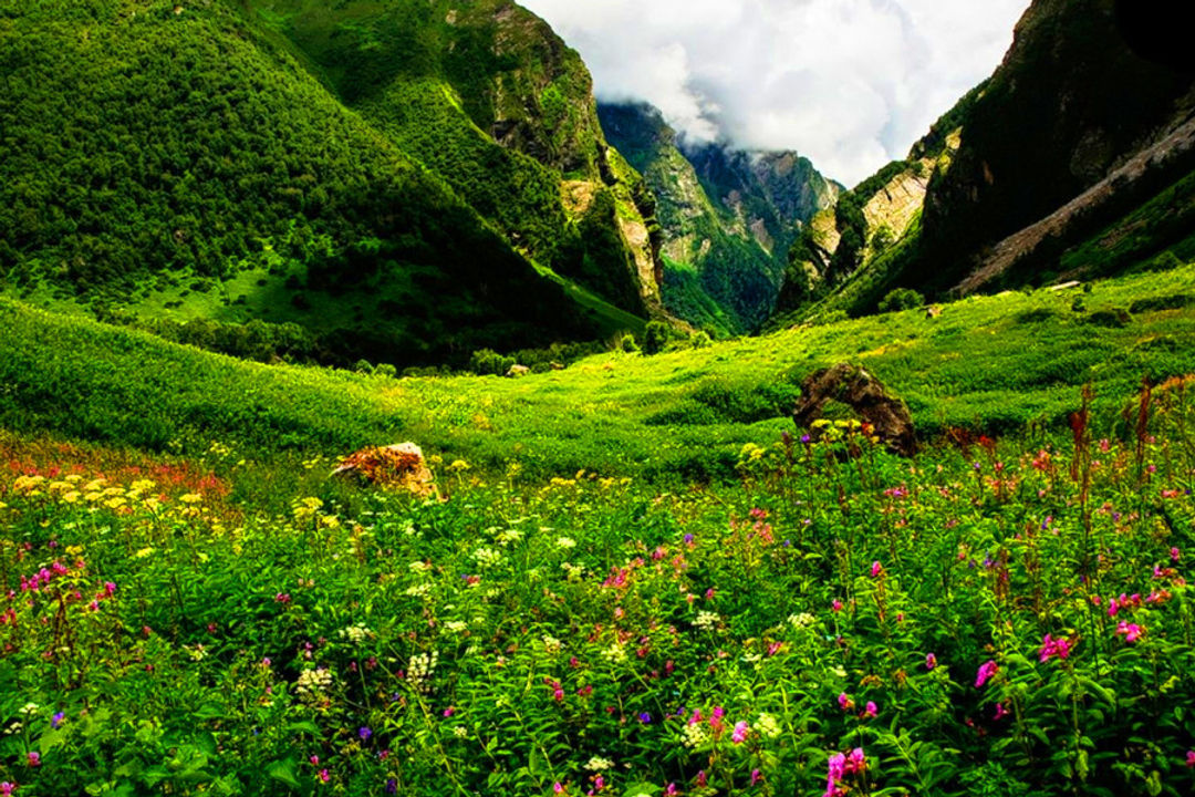 Valley of Flowers National Park Uttarakhand