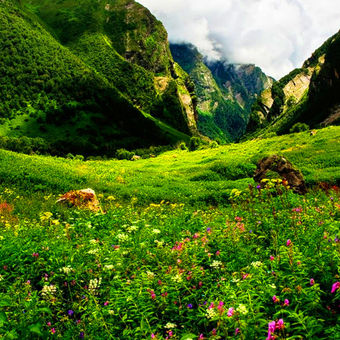 Valley of Flowers National Park Uttarakhand