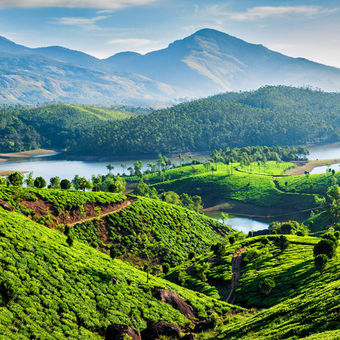 munnar