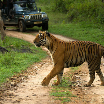 Sariska Short Trip