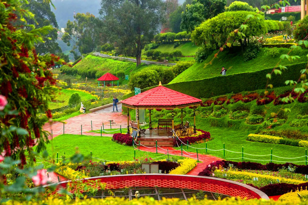 Botanical Gardens ooty