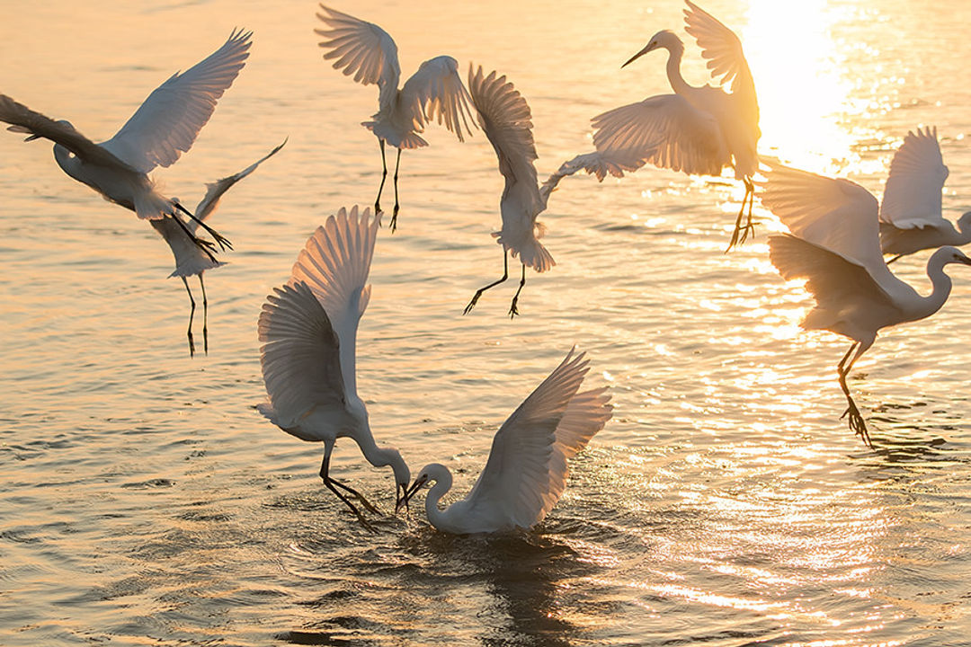 Chilika Lake