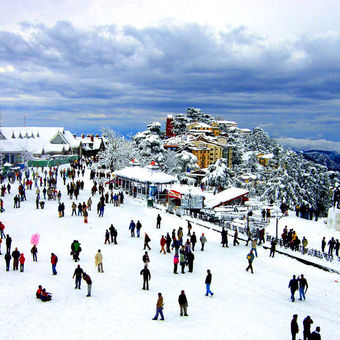 kufri shimla