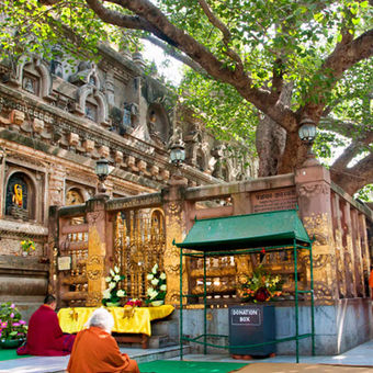 Mahabodhi Temple