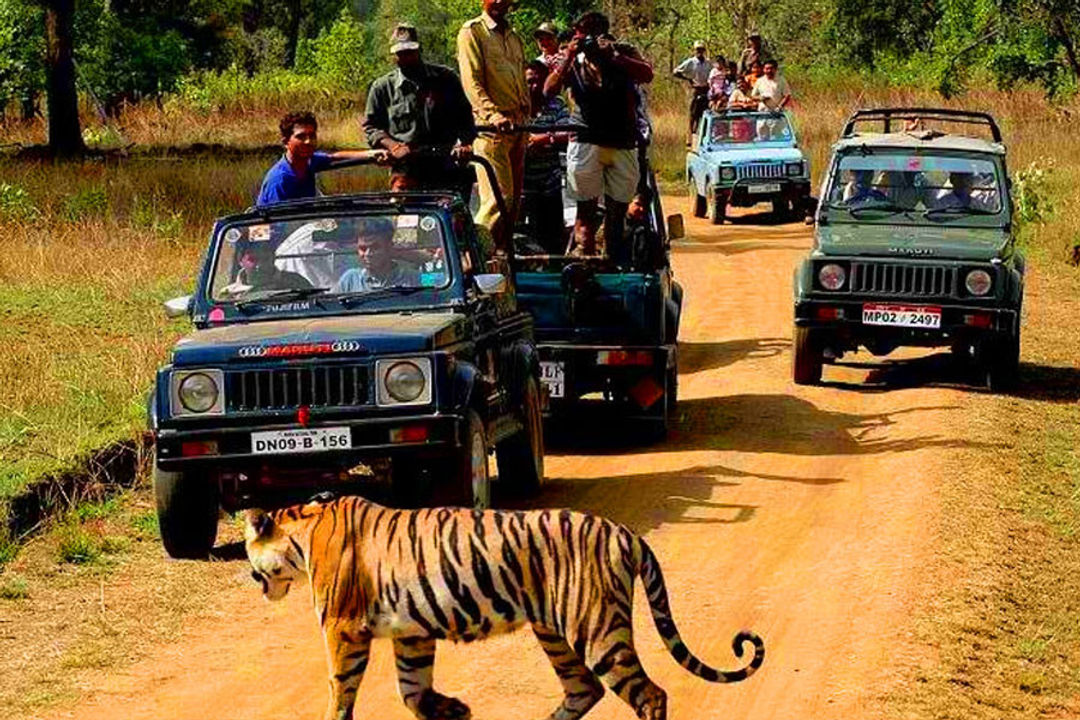 Ranthambore National Park Jeep