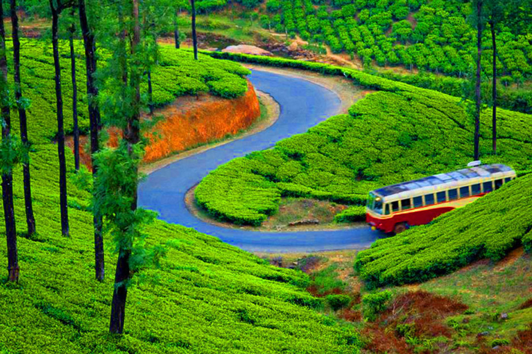 wayanad Tour