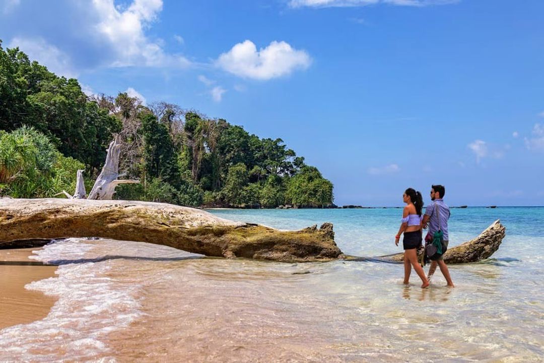 Andaman Honeymoon Special