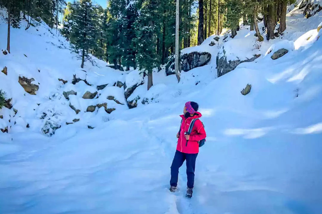 Ganji Pahadhi Trek In Dalhousie