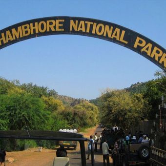 ranthambore national park