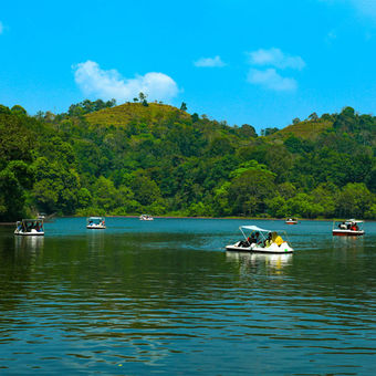 Pookode Lake