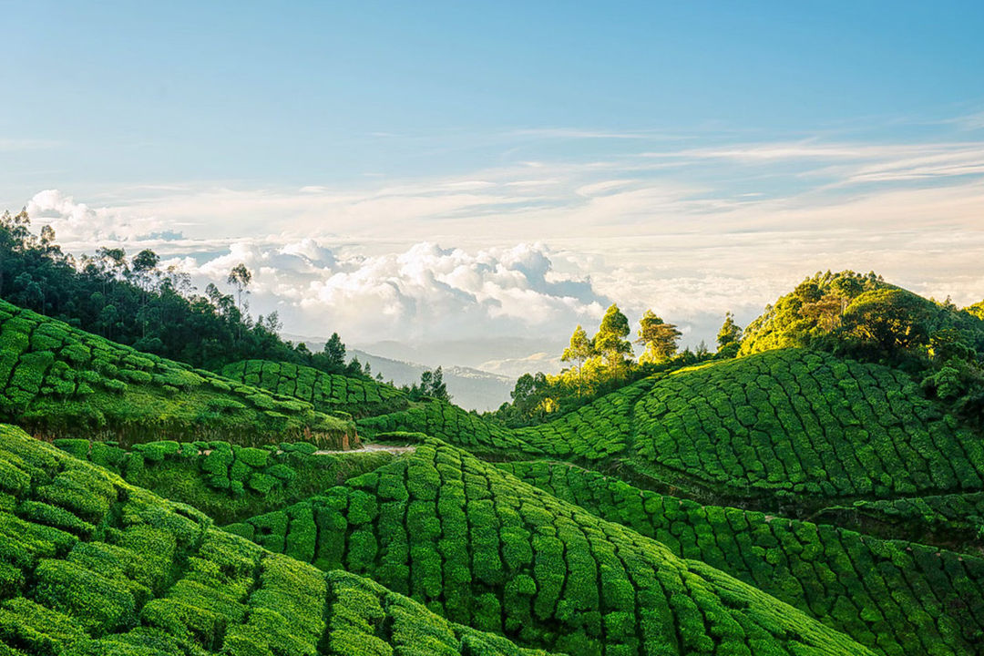 Munnar