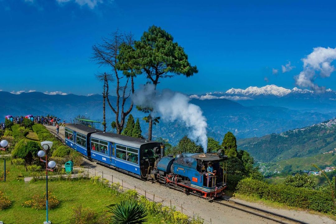 darjeeling