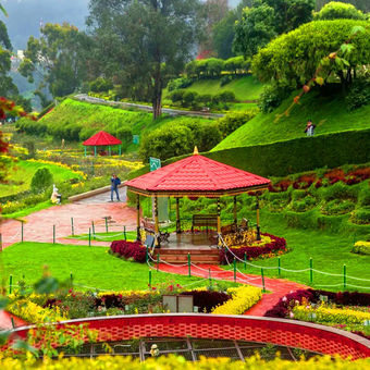 Botanical Gardens ooty