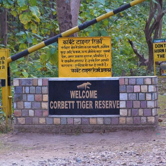 Corbett National Park Booking