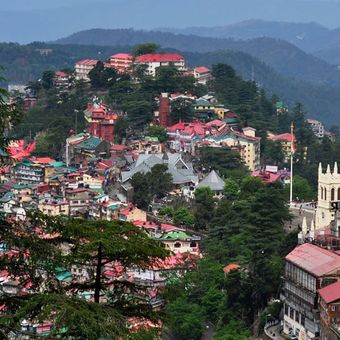 Shimla