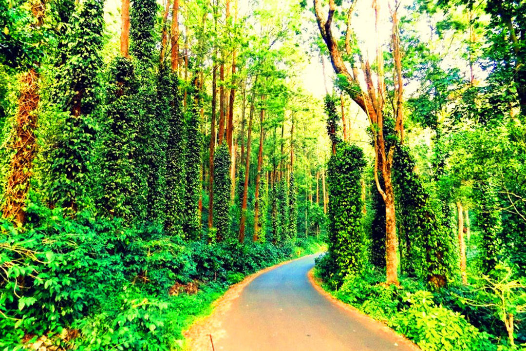 Yercaud