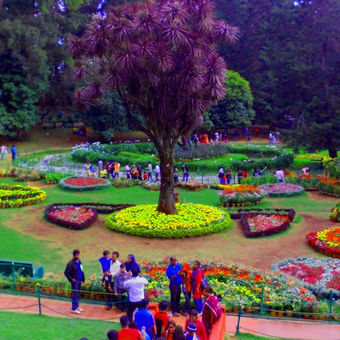 Ooty Family Tour