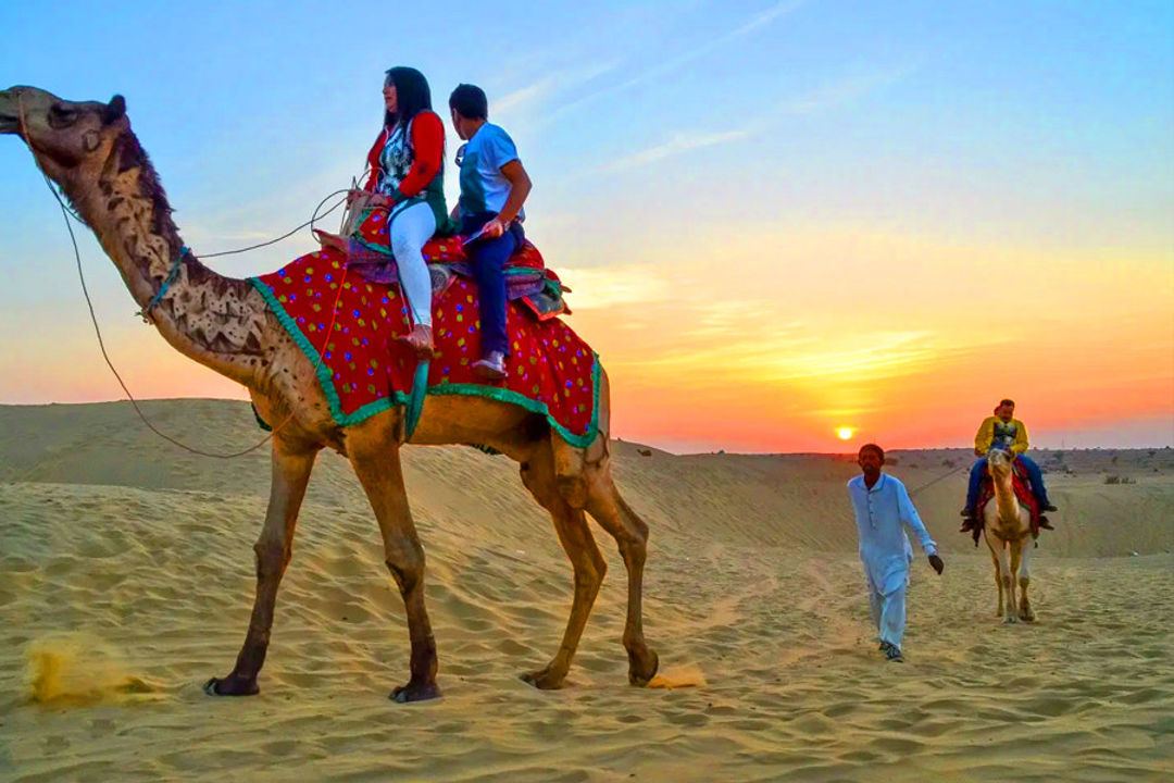 Enjoy camel cart ride neemrana