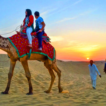 Enjoy camel cart ride neemrana