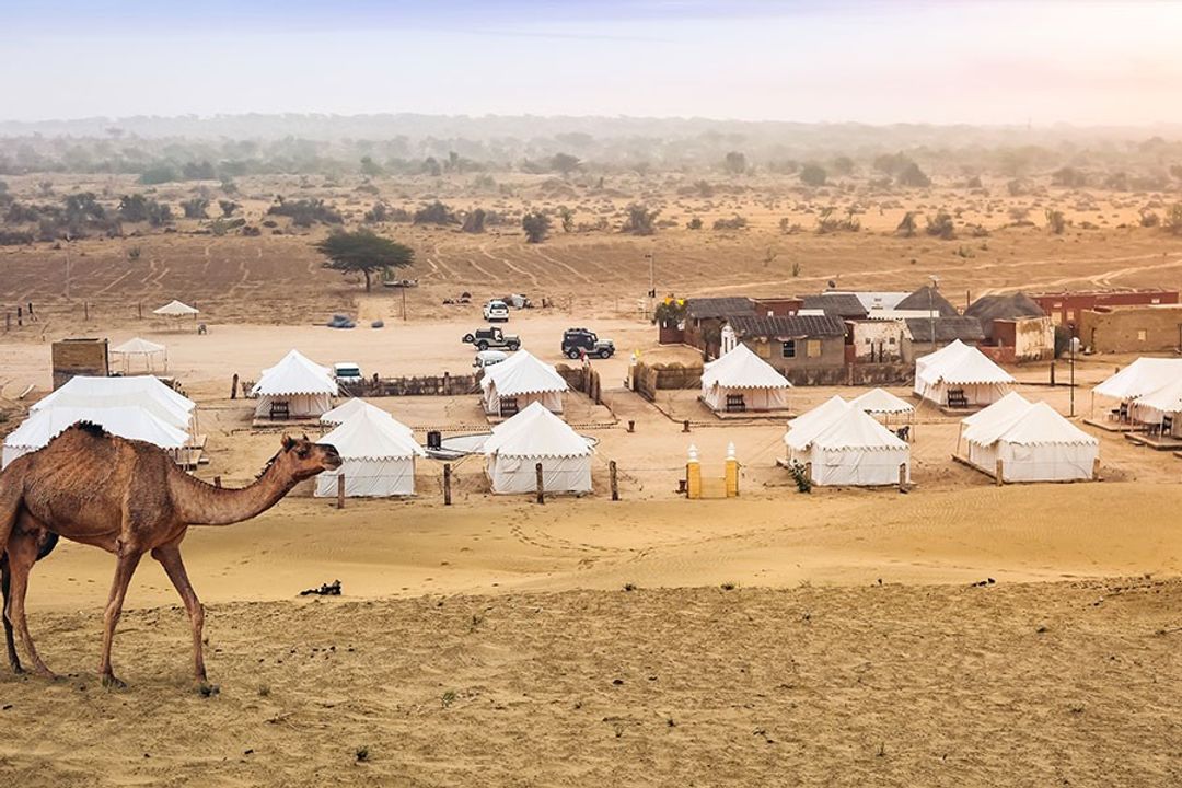 Thar Desert